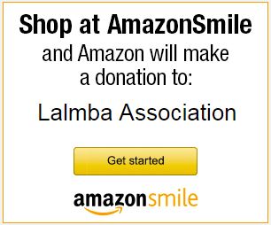 amazon smile