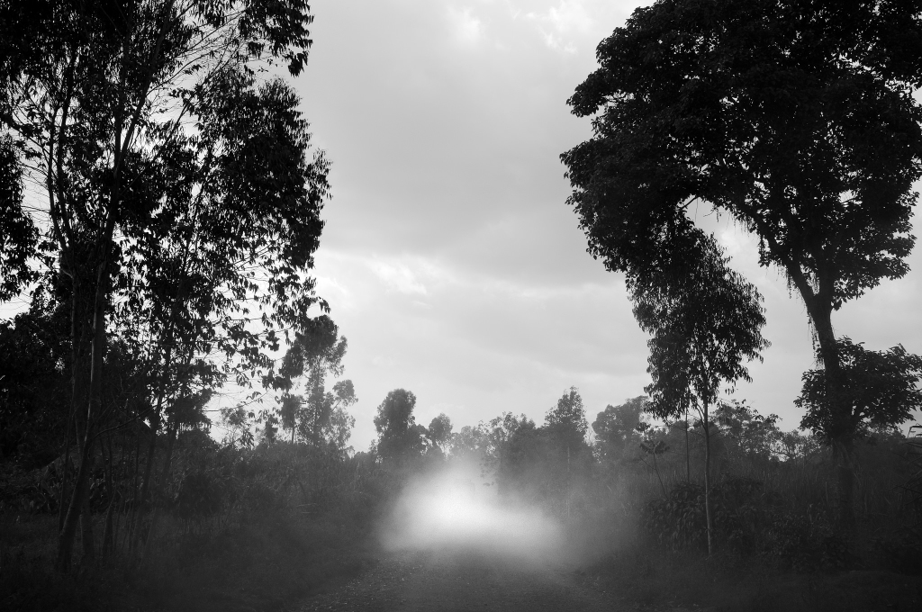 16212647880_9f7fcea869_k