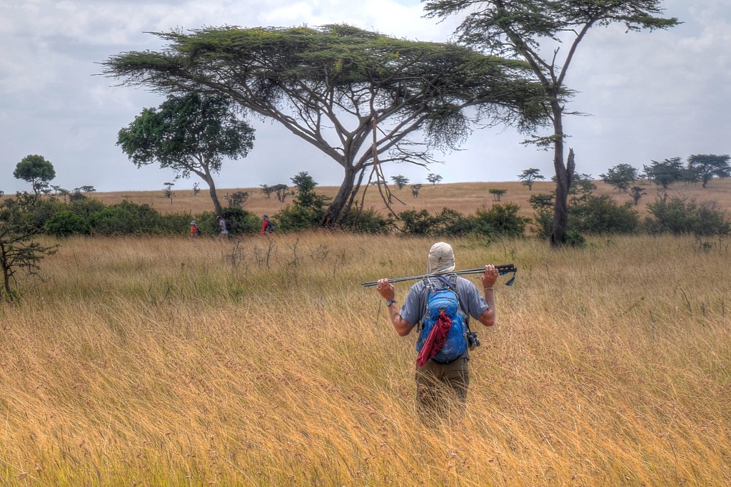 Jeff James walking through the savana