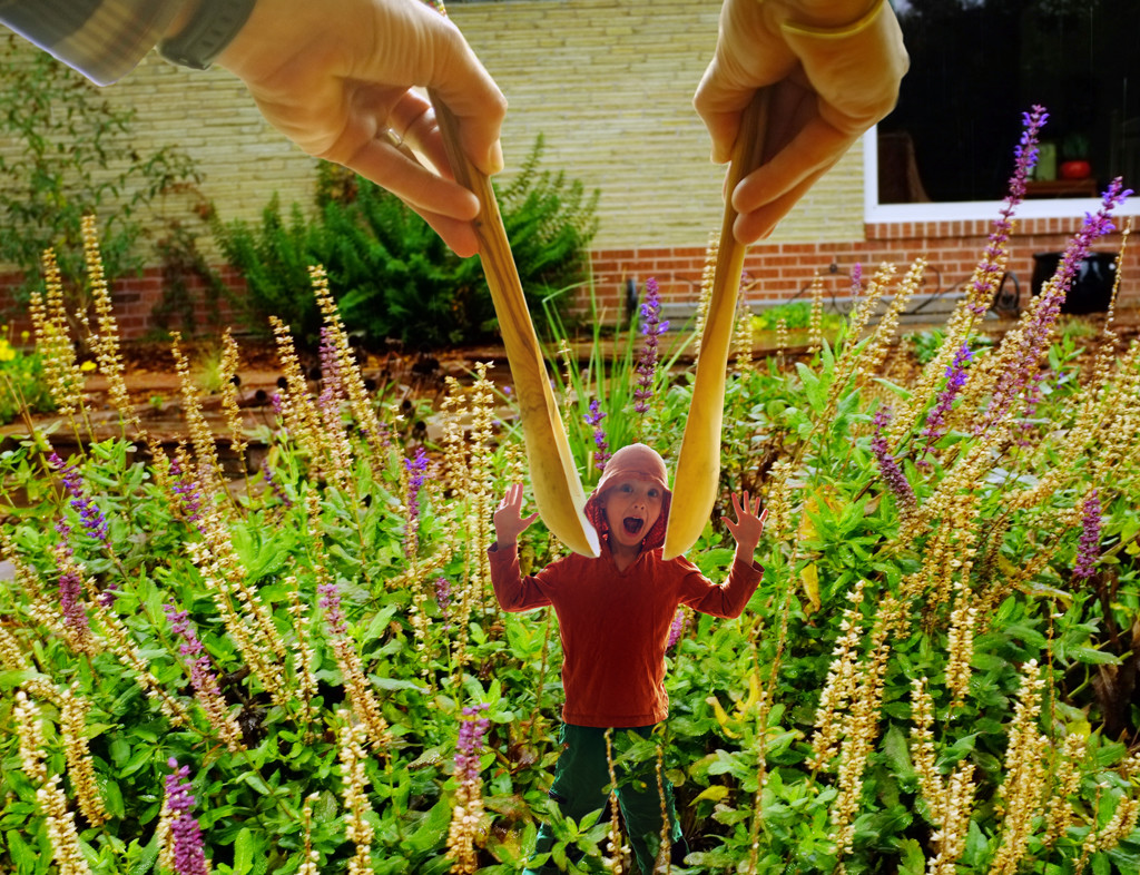 garden gnome_cropped